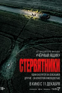 Стервятники 
